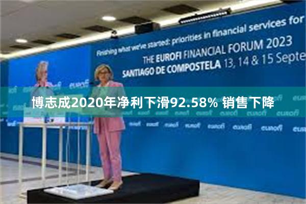 博志成2020年净利下滑92.58% 销售下降