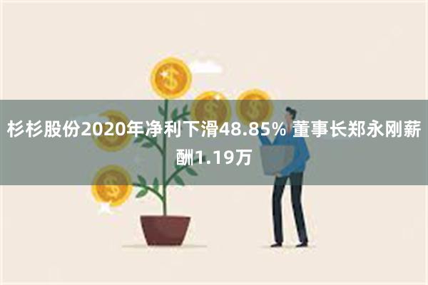 杉杉股份2020年净利下滑48.85% 董事长郑永刚薪酬1.19万