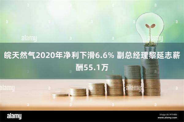 皖天然气2020年净利下滑6.6% 副总经理黎延志薪酬55.1万