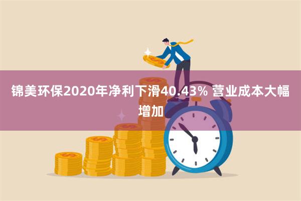 锦美环保2020年净利下滑40.43% 营业成本大幅增加