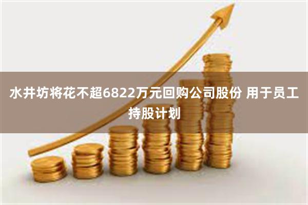 水井坊将花不超6822万元回购公司股份 用于员工持股计划