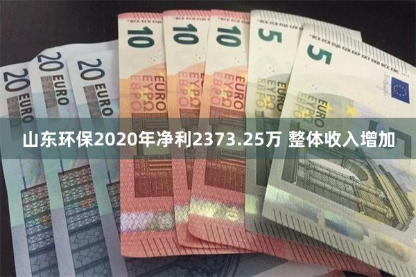 山东环保2020年净利2373.25万 整体收入增加