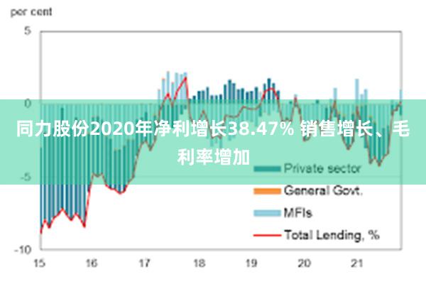 同力股份2020年净利增长38.47% 销售增长、毛利率增加