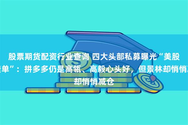 股票期货配资行业查询 四大头部私募曝光“美股成绩单”：拼多多仍是高瓴、高毅心头好，但景林却悄悄减仓