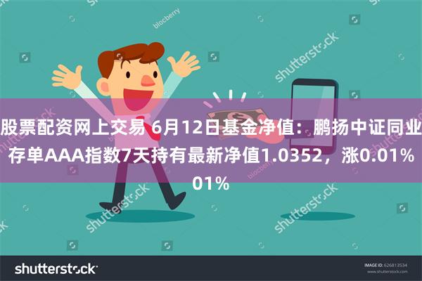 股票配资网上交易 6月12日基金净值：鹏扬中证同业存单AAA指数7天持有最新净值1.0352，涨0.01%