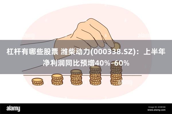 杠杆有哪些股票 潍柴动力(000338.SZ)：上半年净利润同比预增40%–60%