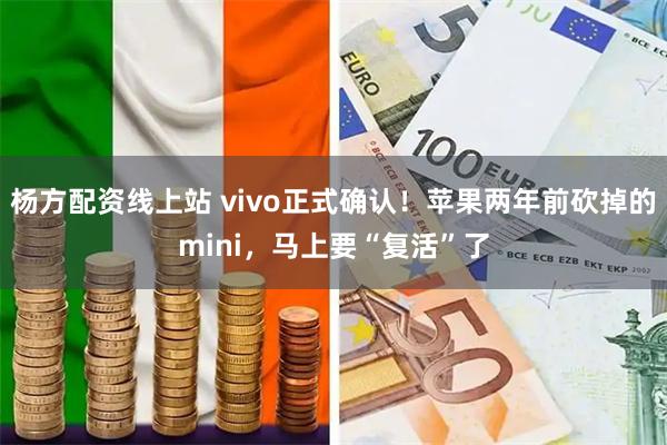 杨方配资线上站 vivo正式确认！苹果两年前砍掉的mini，马上要“复活”了