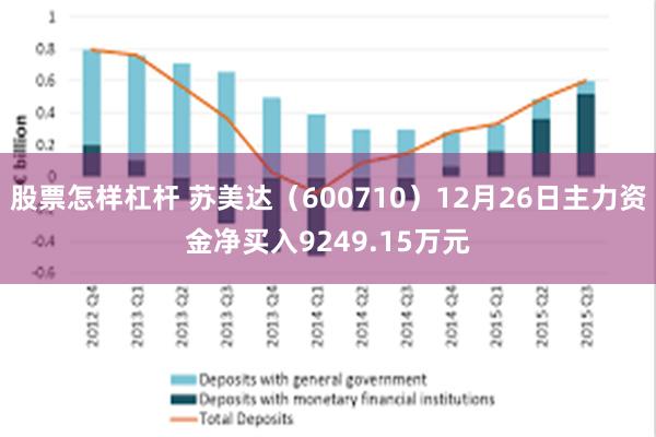 股票怎样杠杆 苏美达（600710）12月26日主力资金净买入9249.15万元