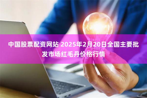 中国股票配资网站 2025年2月20日全国主要批发市场红毛丹价格行情