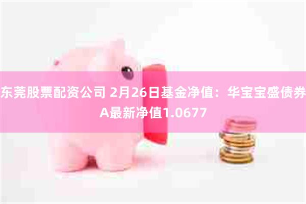 东莞股票配资公司 2月26日基金净值：华宝宝盛债券A最新净值1.0677